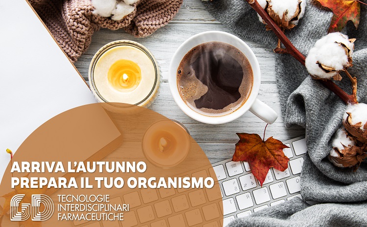 ambio di stagione autunno preparare l'organismo