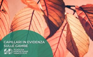 capillari in evidenza gambe angioton gd italia