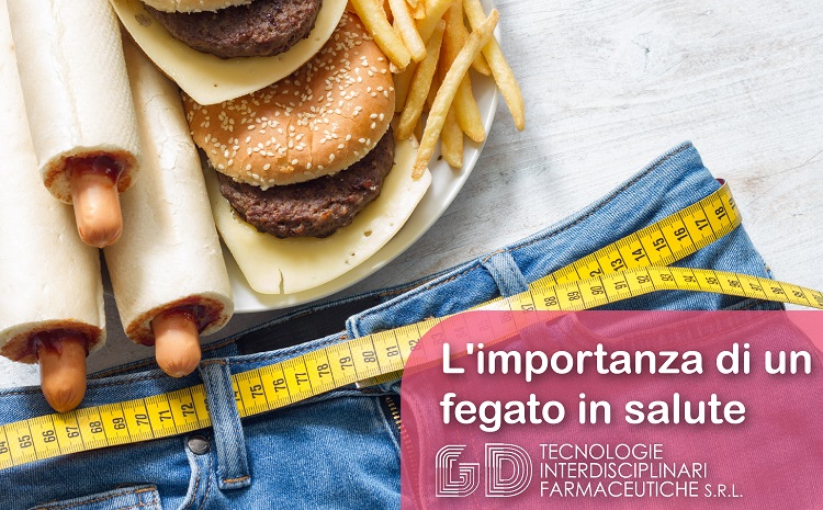 fegato grasso steatosi epatica conseguenze salute omegadin trigliceridi colesterolo